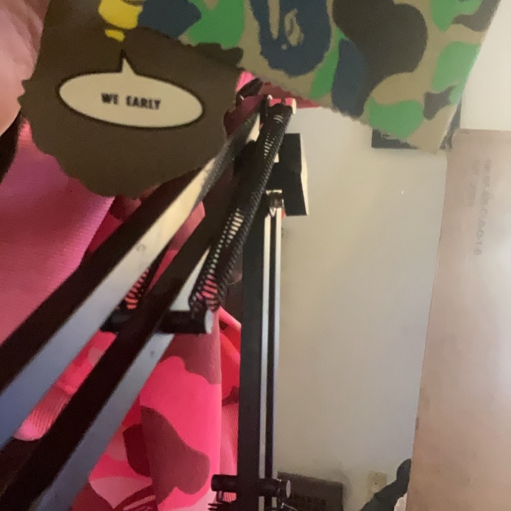 A Bathing Ape Pink Camo Hoddie with Tags and original bag